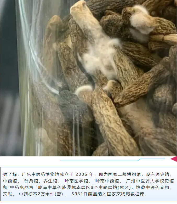 微信圖片_20240730133354.png
