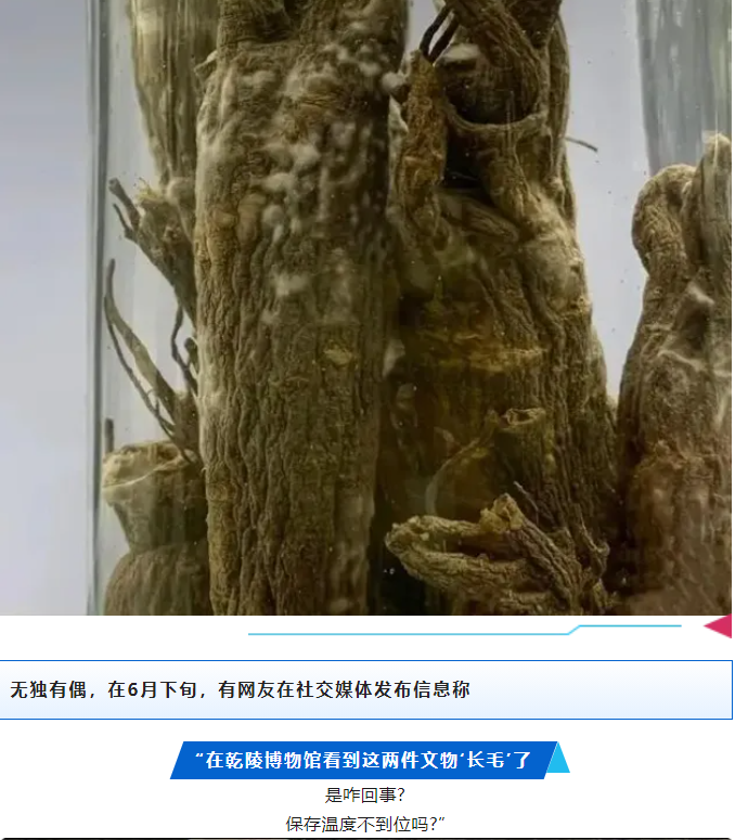 微信圖片_20240730133513.png