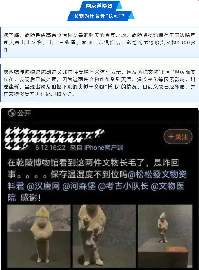 微信圖片_20240730133614.png