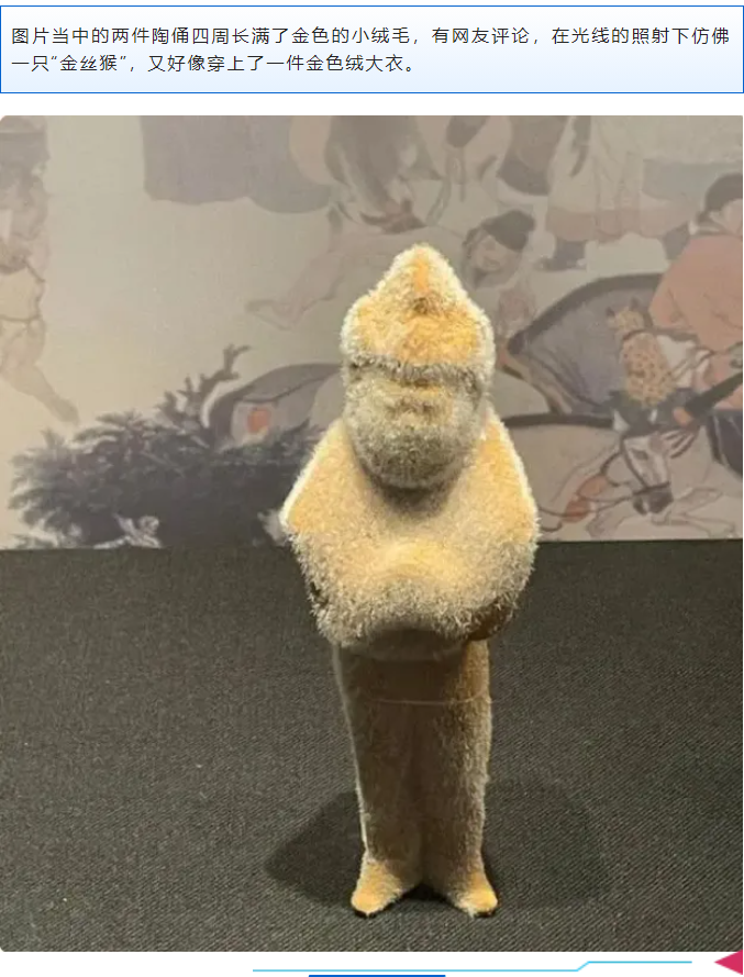 微信圖片_20240730133547.png